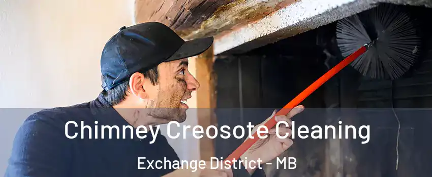  Chimney Creosote Cleaning Exchange District - MB