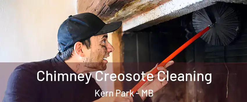  Chimney Creosote Cleaning Kern Park - MB