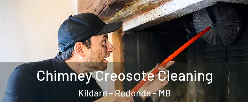  Chimney Creosote Cleaning Kildare - Redonda - MB