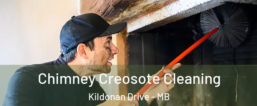  Chimney Creosote Cleaning Kildonan Drive - MB