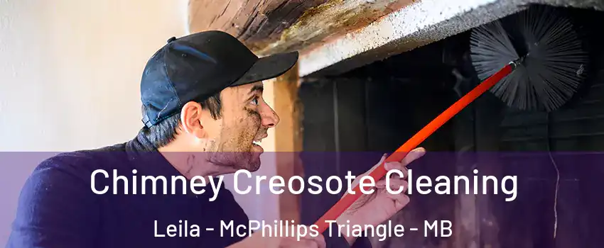  Chimney Creosote Cleaning Leila - McPhillips Triangle - MB