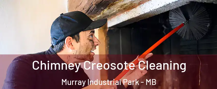  Chimney Creosote Cleaning Murray Industrial Park - MB