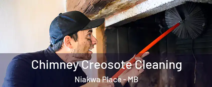  Chimney Creosote Cleaning Niakwa Place - MB
