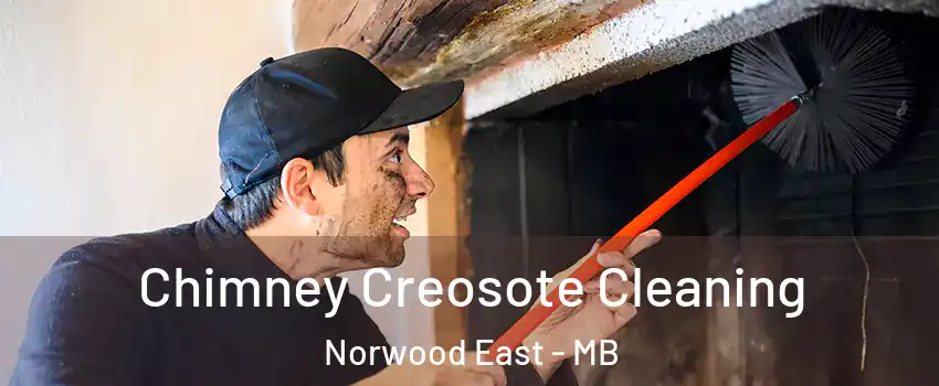  Chimney Creosote Cleaning Norwood East - MB