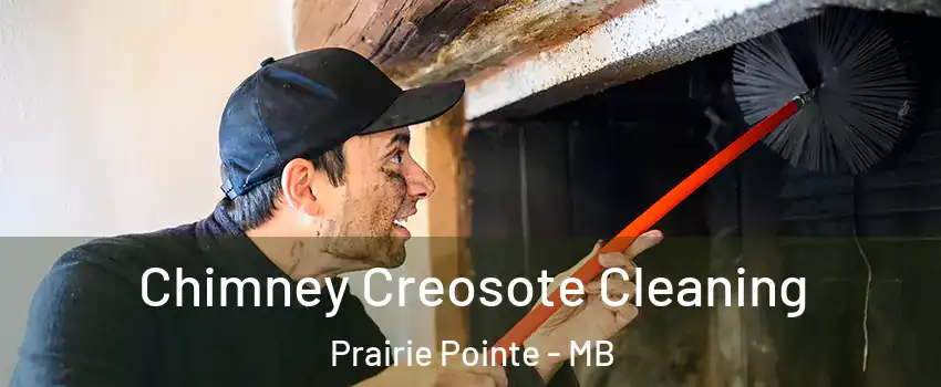  Chimney Creosote Cleaning Prairie Pointe - MB