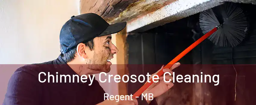 Chimney Creosote Cleaning Regent - MB