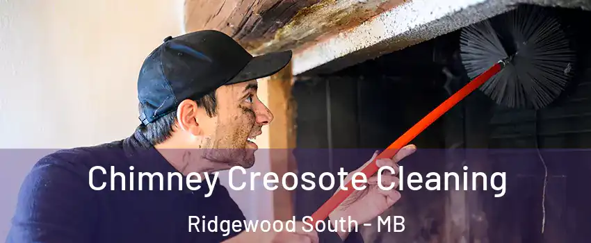  Chimney Creosote Cleaning Ridgewood South - MB