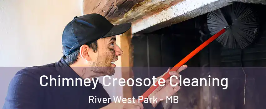  Chimney Creosote Cleaning River West Park - MB