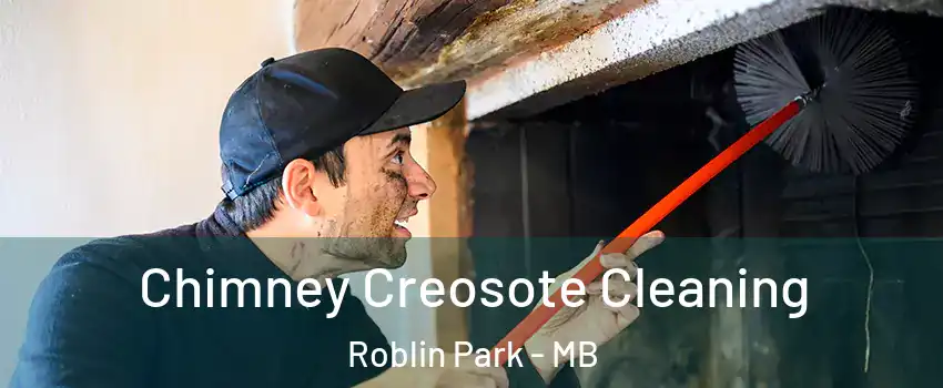  Chimney Creosote Cleaning Roblin Park - MB