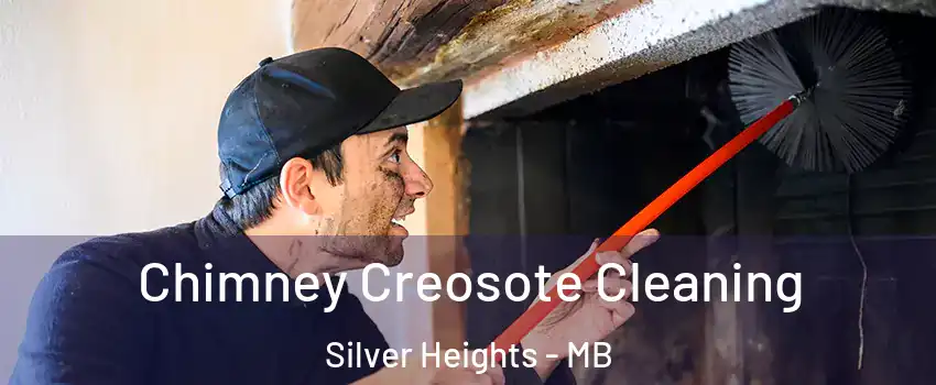  Chimney Creosote Cleaning Silver Heights - MB