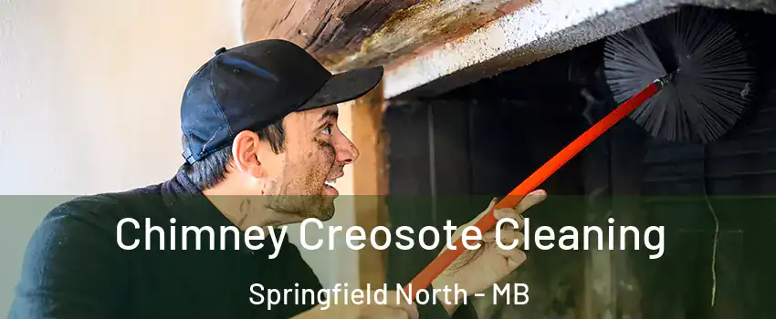  Chimney Creosote Cleaning Springfield North - MB