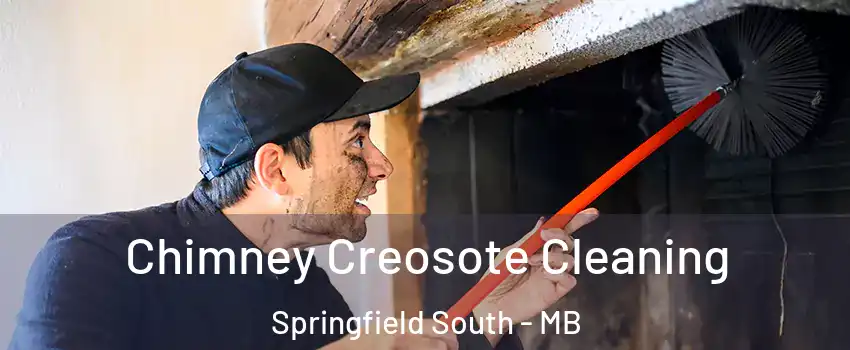  Chimney Creosote Cleaning Springfield South - MB