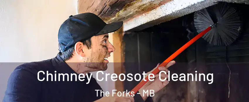  Chimney Creosote Cleaning The Forks - MB
