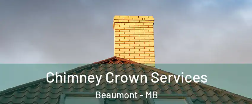 Chimney Crown Services Beaumont - MB