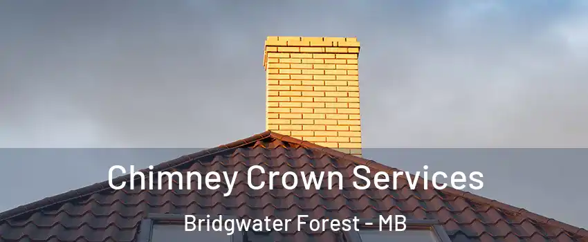  Chimney Crown Services Bridgwater Forest - MB