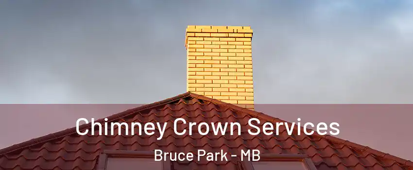 Chimney Crown Services Bruce Park - MB