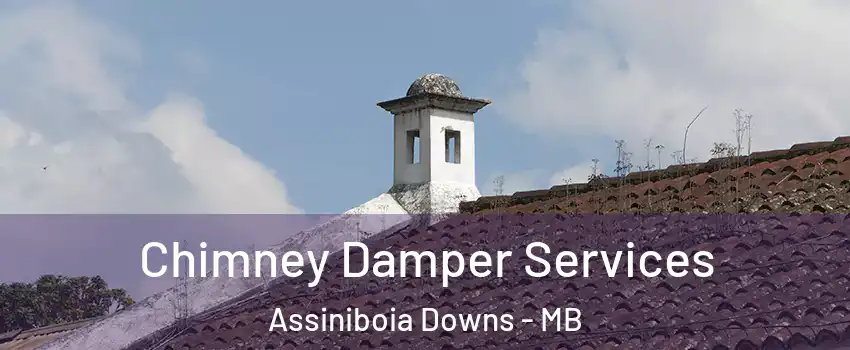 Chimney Damper Services Assiniboia Downs - MB