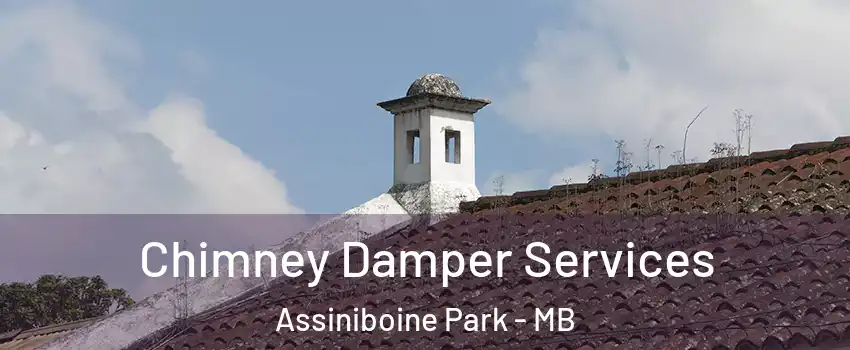  Chimney Damper Services Assiniboine Park - MB