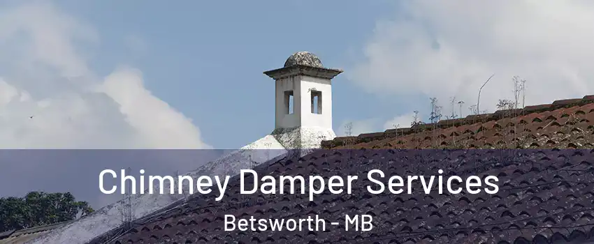  Chimney Damper Services Betsworth - MB
