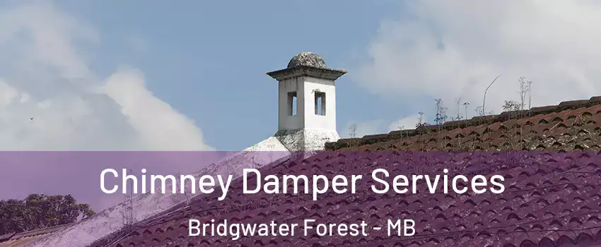  Chimney Damper Services Bridgwater Forest - MB