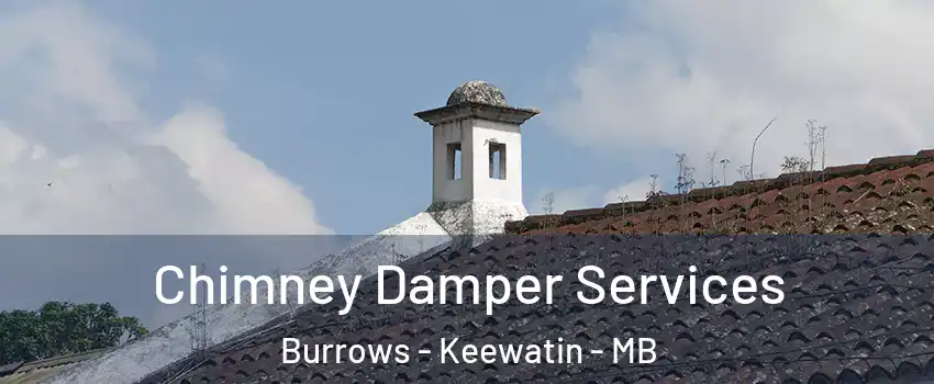  Chimney Damper Services Burrows - Keewatin - MB