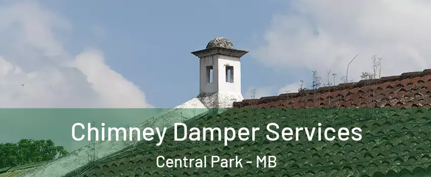  Chimney Damper Services Central Park - MB
