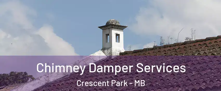  Chimney Damper Services Crescent Park - MB