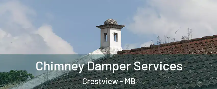  Chimney Damper Services Crestview - MB