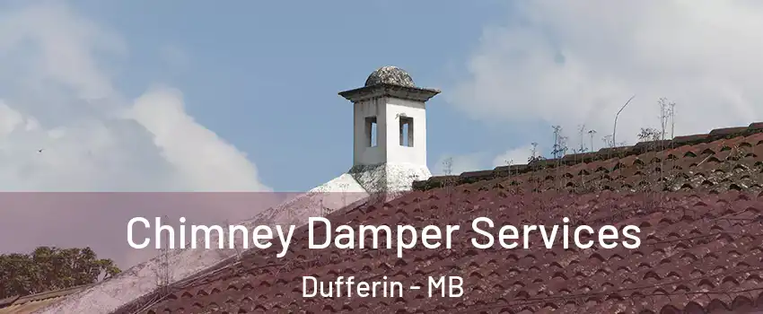 Chimney Damper Services Dufferin - MB