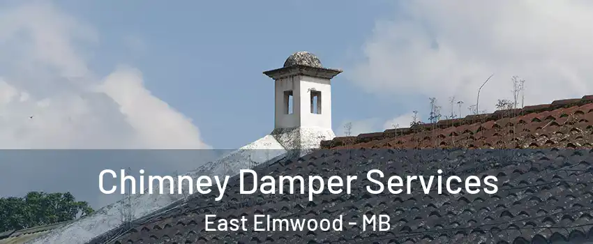  Chimney Damper Services East Elmwood - MB