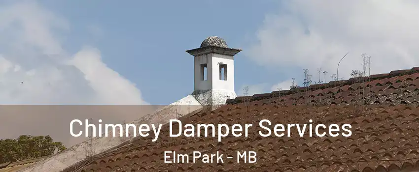  Chimney Damper Services Elm Park - MB