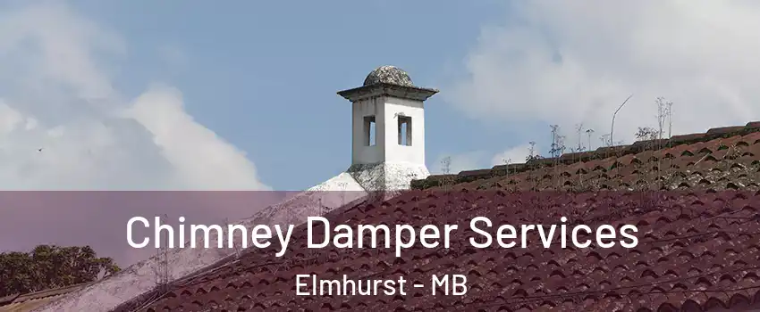 Chimney Damper Services Elmhurst - MB