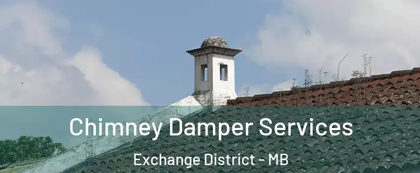  Chimney Damper Services Exchange District - MB