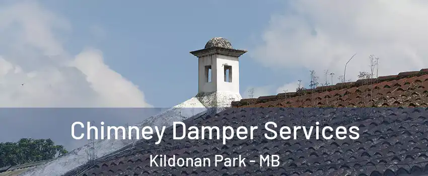  Chimney Damper Services Kildonan Park - MB