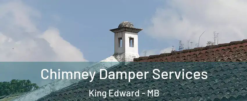  Chimney Damper Services King Edward - MB