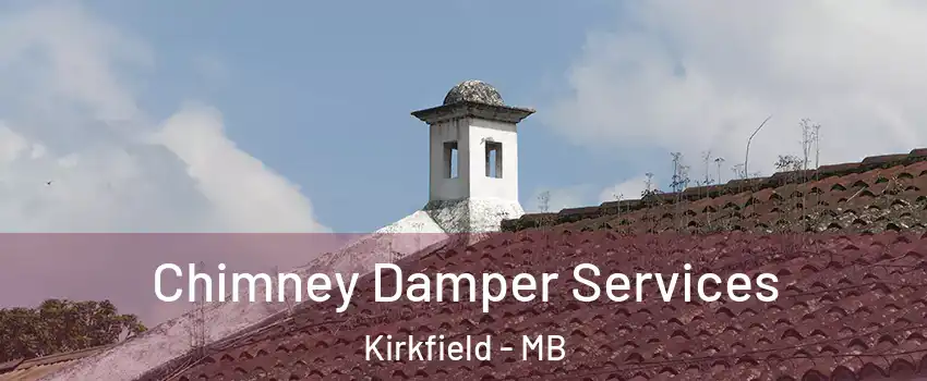  Chimney Damper Services Kirkfield - MB