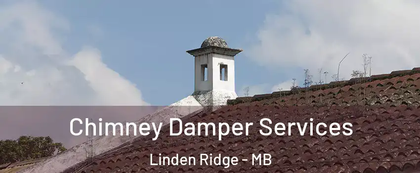  Chimney Damper Services Linden Ridge - MB