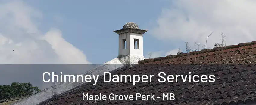  Chimney Damper Services Maple Grove Park - MB