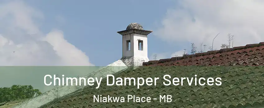 Chimney Damper Services Niakwa Place - MB
