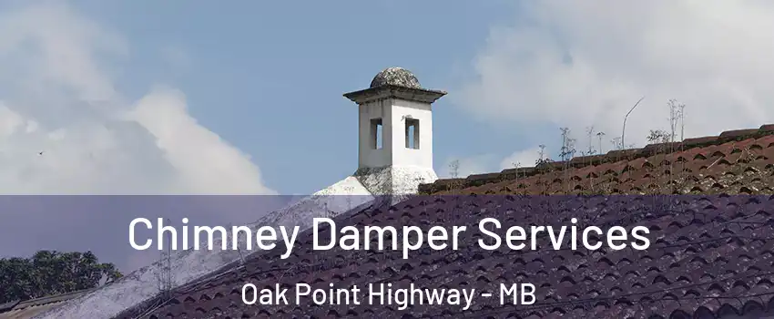  Chimney Damper Services Oak Point Highway - MB