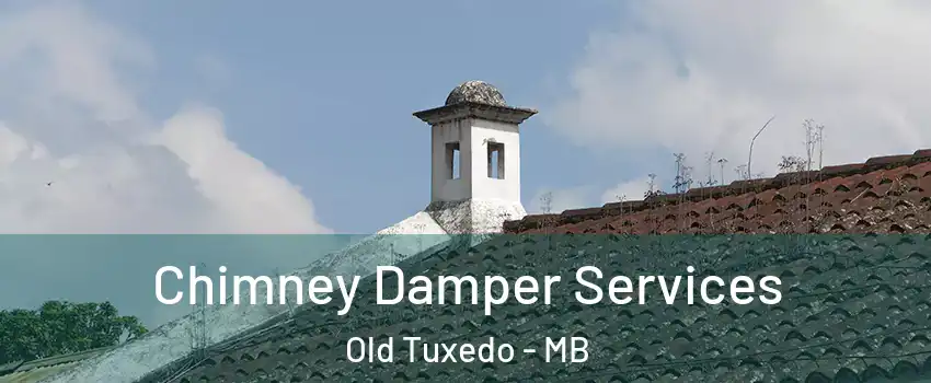  Chimney Damper Services Old Tuxedo - MB