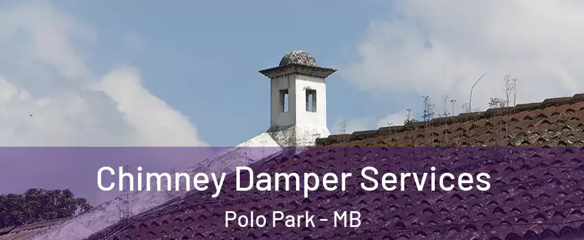  Chimney Damper Services Polo Park - MB