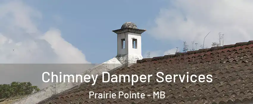  Chimney Damper Services Prairie Pointe - MB