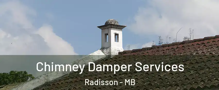  Chimney Damper Services Radisson - MB
