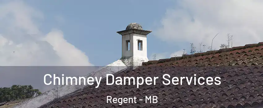  Chimney Damper Services Regent - MB