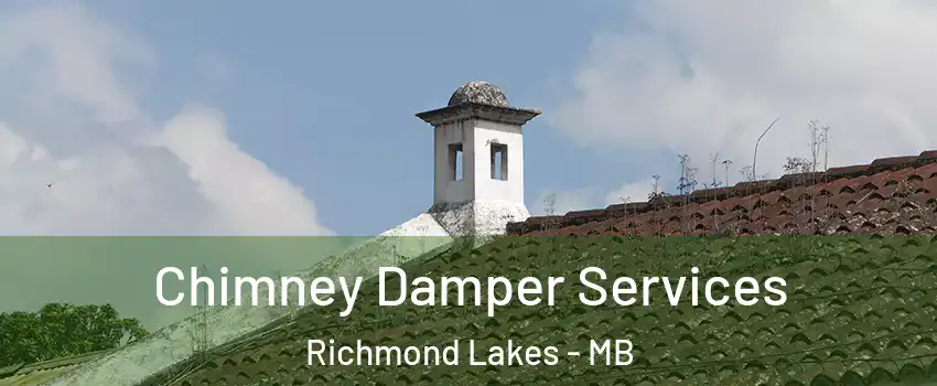  Chimney Damper Services Richmond Lakes - MB