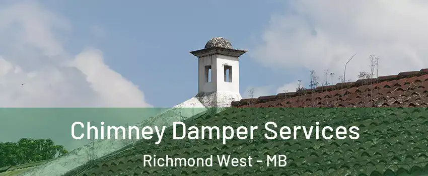  Chimney Damper Services Richmond West - MB