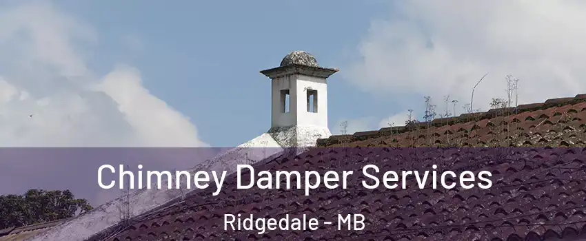  Chimney Damper Services Ridgedale - MB