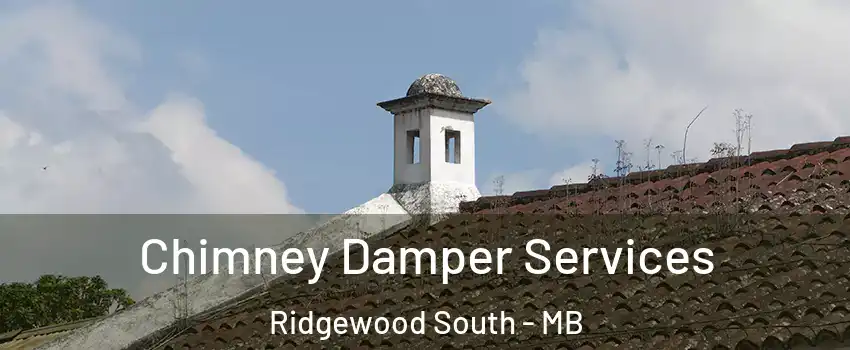  Chimney Damper Services Ridgewood South - MB