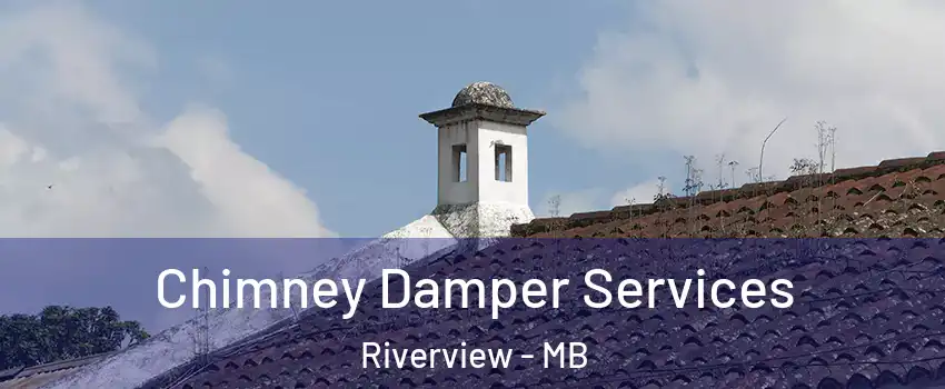  Chimney Damper Services Riverview - MB